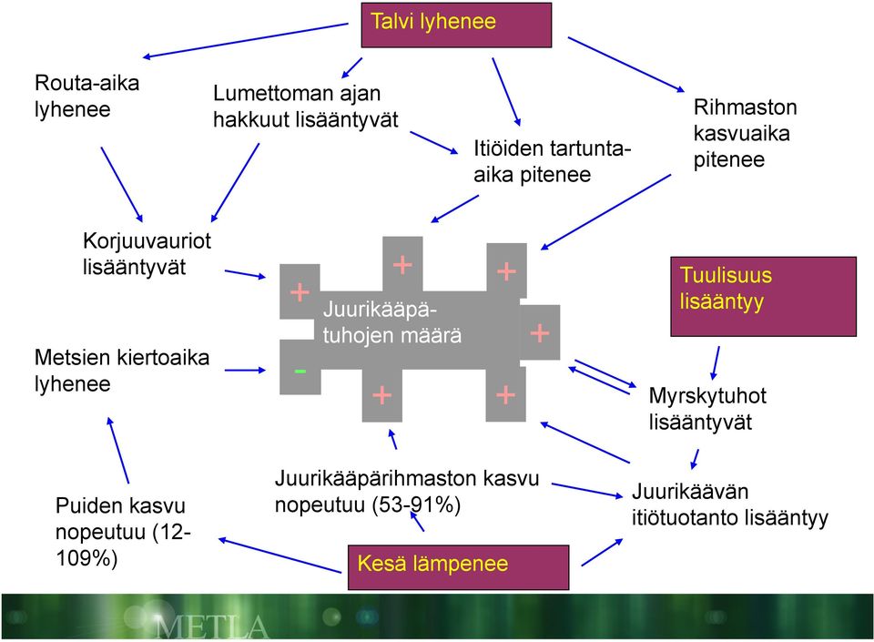 Juurikääpätuhojen määrä + + + + Tuulisuus lisääntyy Myrskytuhot lisääntyvät Puiden kasvu