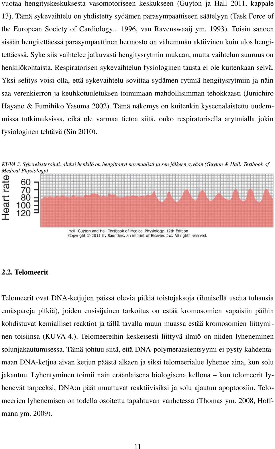 Toisin sanoen sisään hengitettäessä parasympaattinen hermosto on vähemmän aktiivinen kuin ulos hengitettäessä.