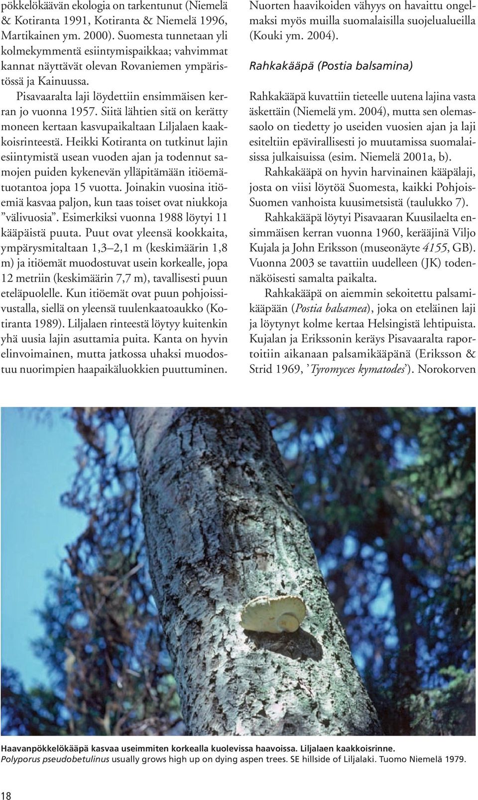 Siitä lähtien sitä on kerätty moneen kertaan kasvupaikaltaan Liljalaen kaakkoisrinteestä.