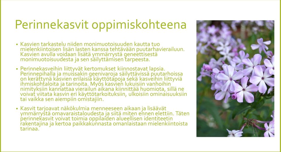 Perinnepihalla ja muissakin geenivaroja säilyttävissä puutarhoissa on kerättynä kasvien erilaisia käyttötapoja sekä kasveihin liittyviä ihmiskohtaloita ja tarinoita.