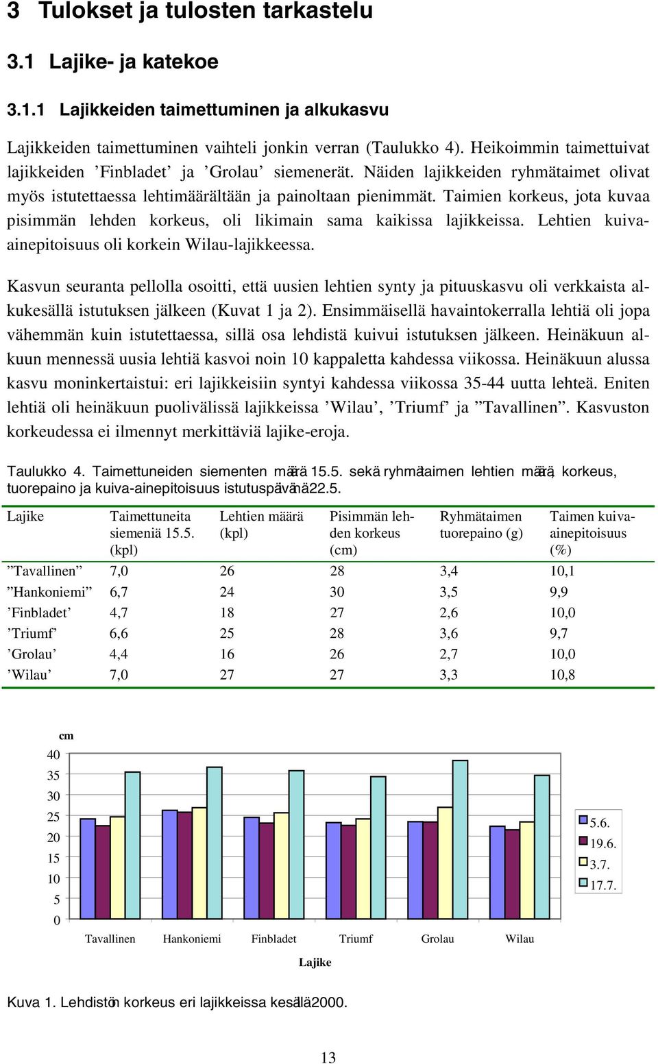 Taimien korkeus, jota kuvaa pisimmän lehden korkeus, oli likimain sama kaikissa lajikkeissa. Lehtien kuivaainepitoisuus oli korkein Wilau-lajikkeessa.