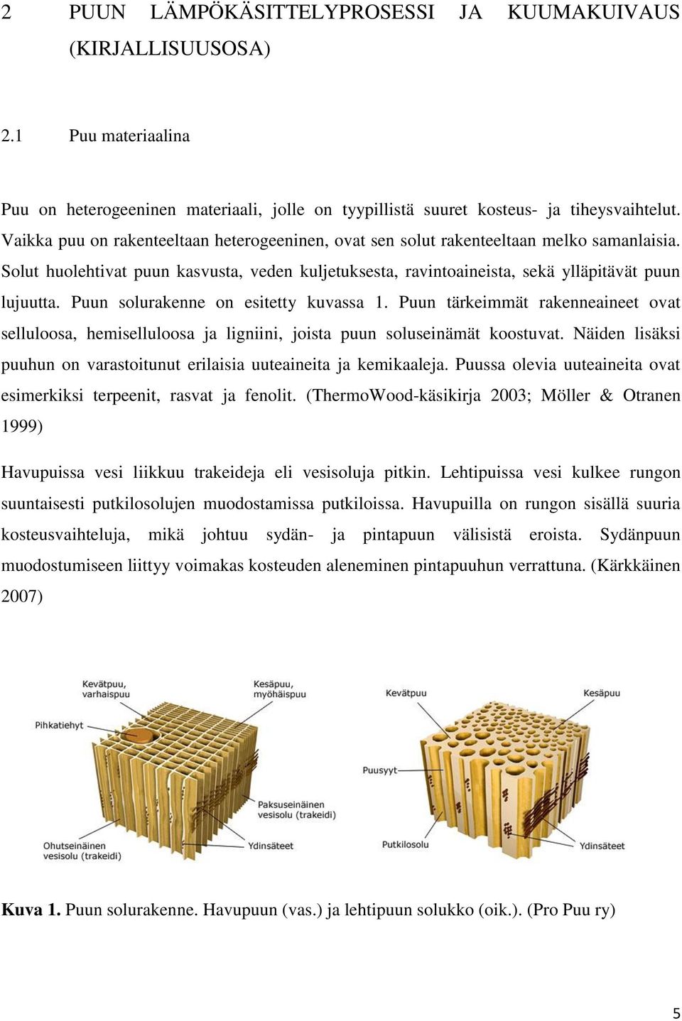 Puun solurakenne on esitetty kuvassa 1. Puun tärkeimmät rakenneaineet ovat selluloosa, hemiselluloosa ja ligniini, joista puun soluseinämät koostuvat.