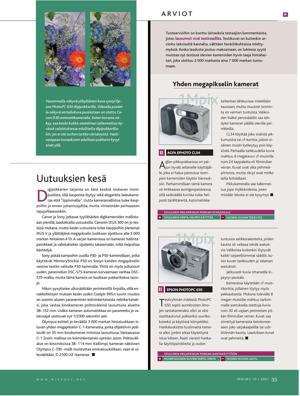 Vasemmalla näkyvä ylikylläinen kuva syntyi Epson PhotoPC 650 digipokkarilla. Oikealla puolella näkyvä vertailukuva puolestaan on otettu Canon D30 ammattikameralla.