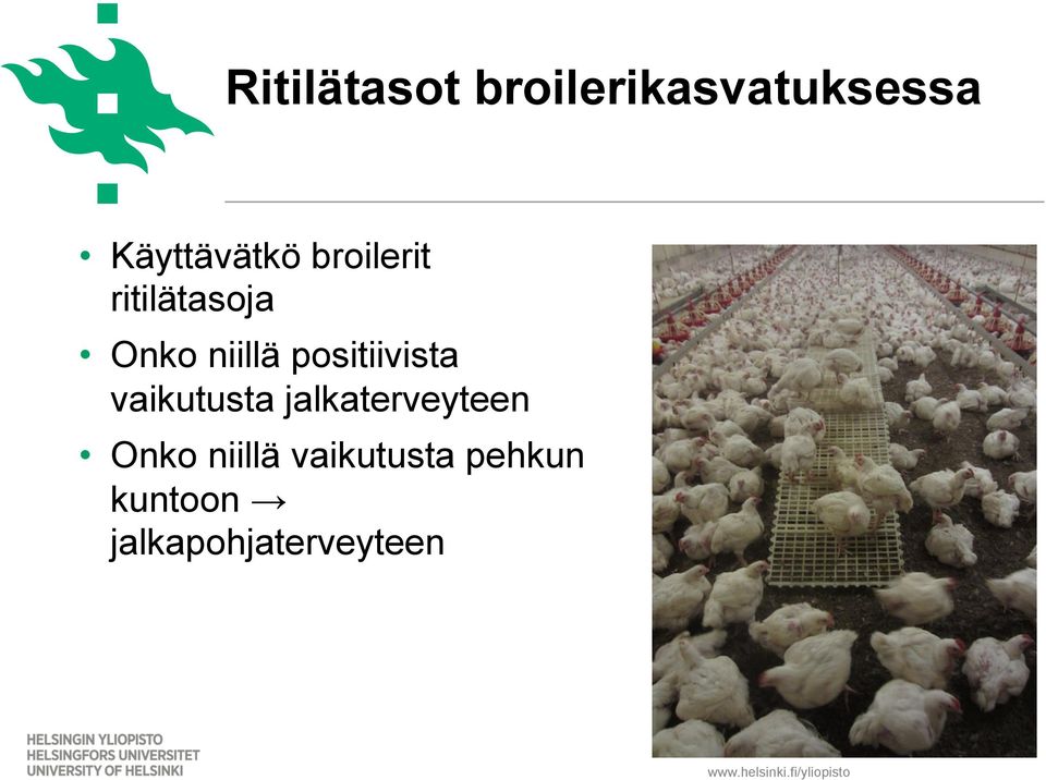 niillä positiivista vaikutusta