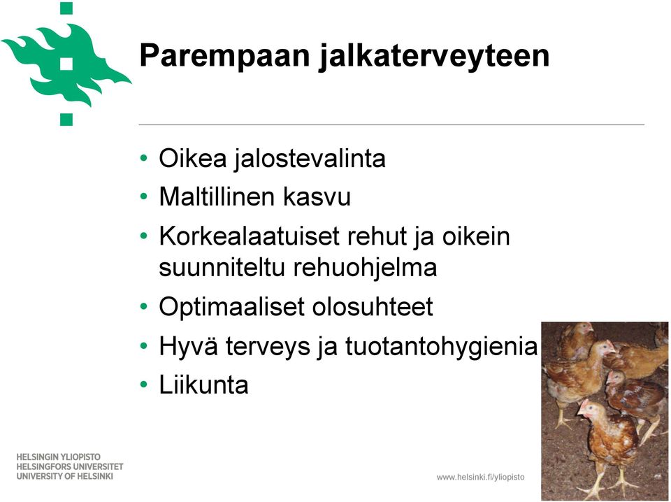 oikein suunniteltu rehuohjelma Optimaaliset