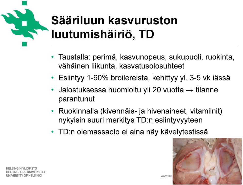 3-5 vk iässä Jalostuksessa huomioitu yli 20 vuotta tilanne parantunut Ruokinnalla (kivennäis- ja