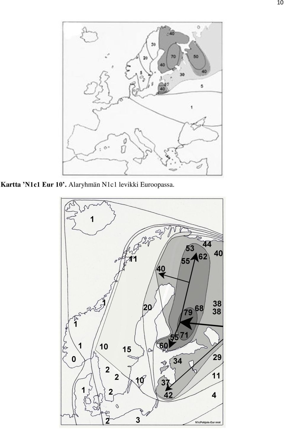 Alaryhmän N1c1