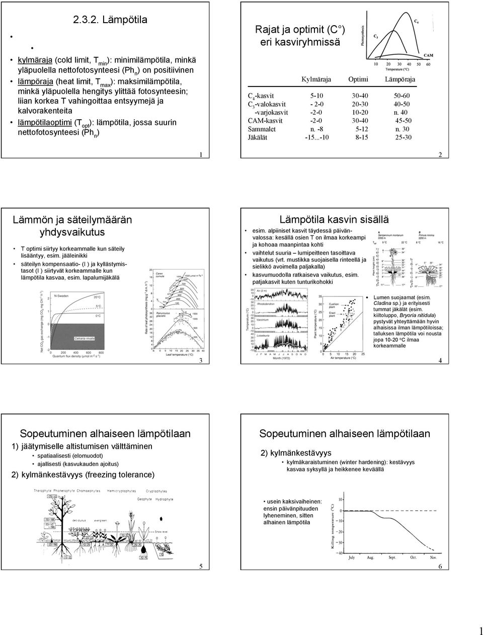 jossa suurin nettofotosynteesi (Ph n ) Rajat ja optimit (C ) eri kasviryhmissä Kylmäraja Optimi Lämpöraja C 4 -kasvit 5-10 30-40 50-60 C 3 -valokasvit - 2-0 20-30 40-50 -varjokasvit -2-0 10-20 n.