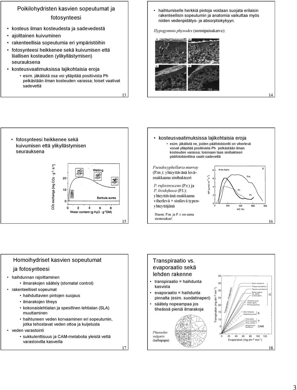 jäkälistä osa voi ylläpitää positiivista Ph n pelkästään ilman kosteuden varassa; toiset vaativat sadevettä haihtumiselle herkkiä pintoja voidaan suojata erilaisin rakenteellisin sopeutumin ja