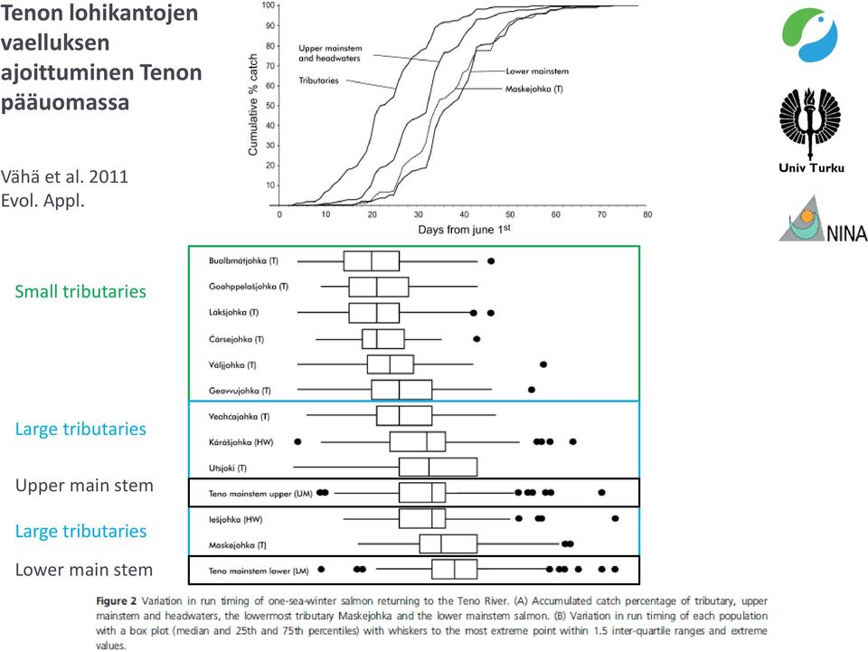 Univ Turku Small tributaries Large