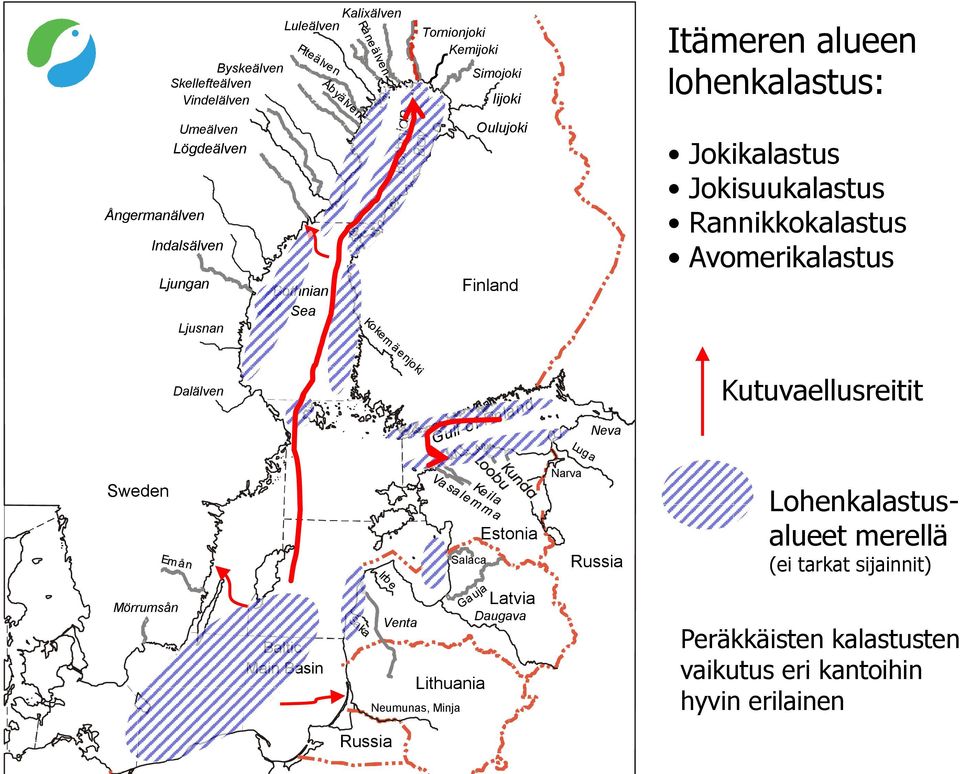 Rannikkokalastus Avomerikalastus Dalälven Kutuvaellusreitit Neva Sweden Salaca Estonia Narva Russia Lohenkalastusalueet merellä (ei