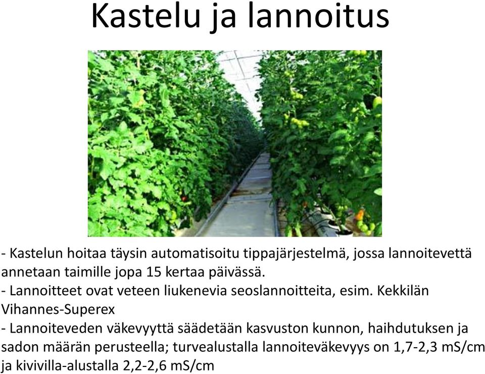 Kekkilän Vihannes-Superex - Lannoiteveden väkevyyttä säädetään kasvuston kunnon, haihdutuksen ja sadon