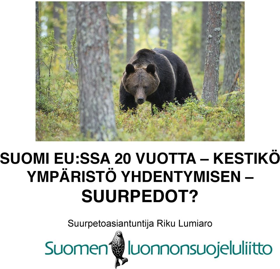 YHDENTYMISEN SUURPEDOT?