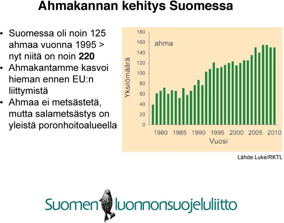 hieman ennen EU:n liittymistä Ahmaa ei metsästetä, mutta