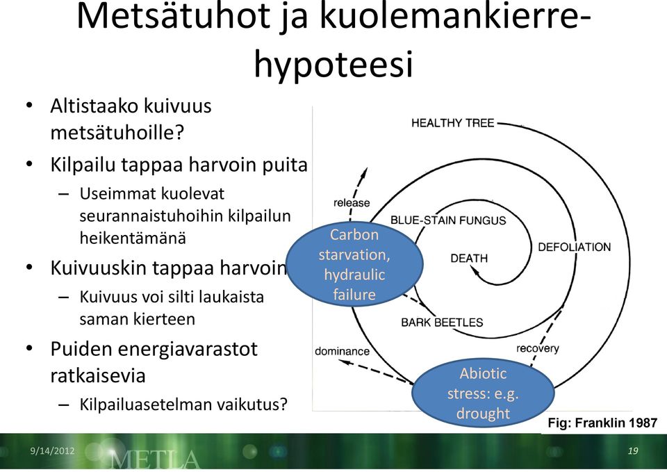 Kuivuuskin tappaa harvoin Kuivuus voi silti laukaista saman kierteen Puiden energiavarastot