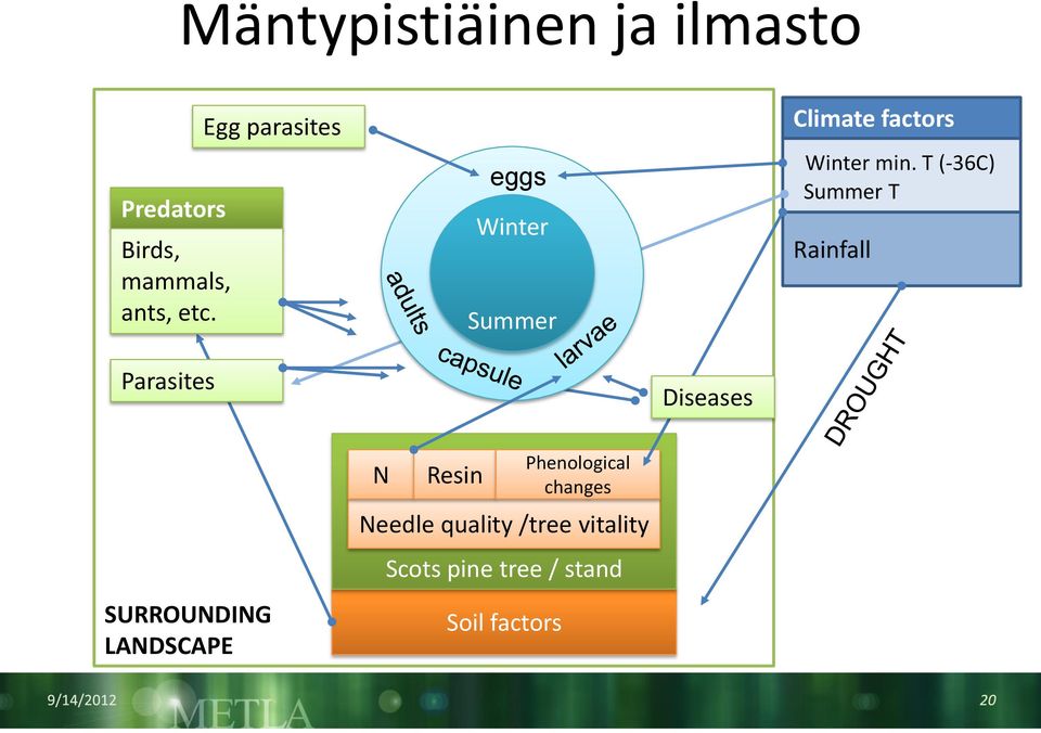 T (-36C) Summer T Rainfall Parasites Diseases SURROUNDING LANDSCAPE N Resin