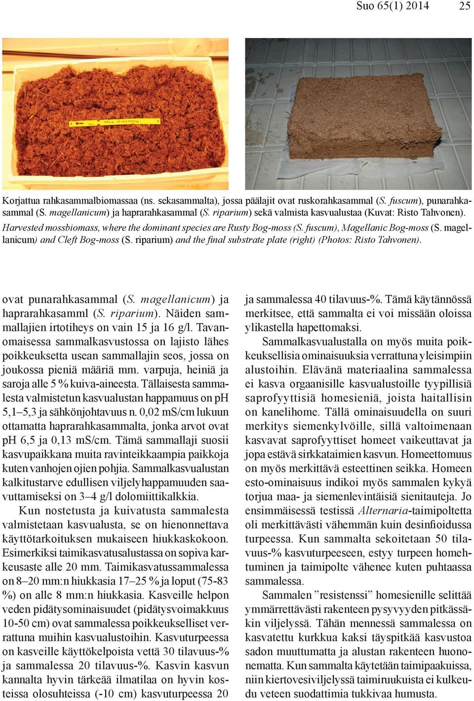 magellanicum) and Cleft Bog-moss (S. riparium) and the final substrate plate (right) (Photos: Risto Tahvonen). ovat punarahkasammal (S. magellanicum) ja haprarahkasamml (S. riparium). Näiden sammallajien irtotiheys on vain 15 ja 16 g/l.