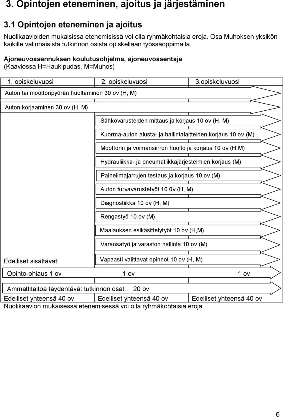 opiskeluvuosi 3.