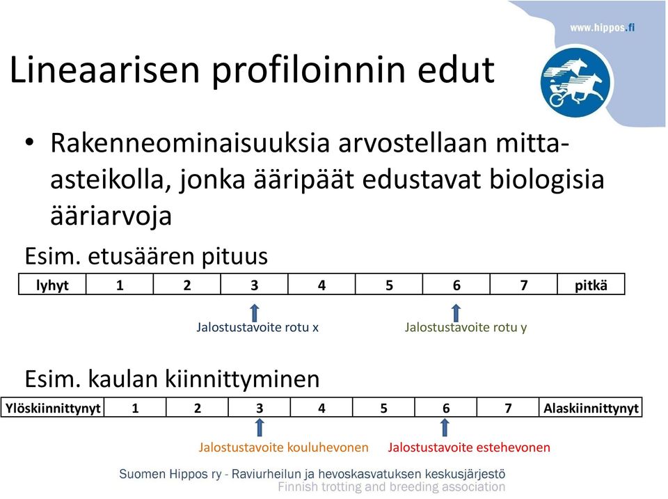 etusäärenpituus lyhyt 1 2 3 4 5 6 7 pitkä Esim.