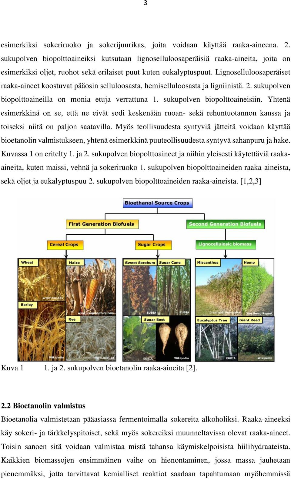 Lignoselluloosaperäiset raaka-aineet koostuvat pääosin selluloosasta, hemiselluloosasta ja ligniinistä. 2. sukupolven biopolttoaineilla on monia etuja verrattuna 1. sukupolven biopolttoaineisiin.