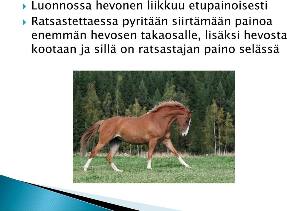 enemmän hevosen takaosalle, lisäksi hevosta