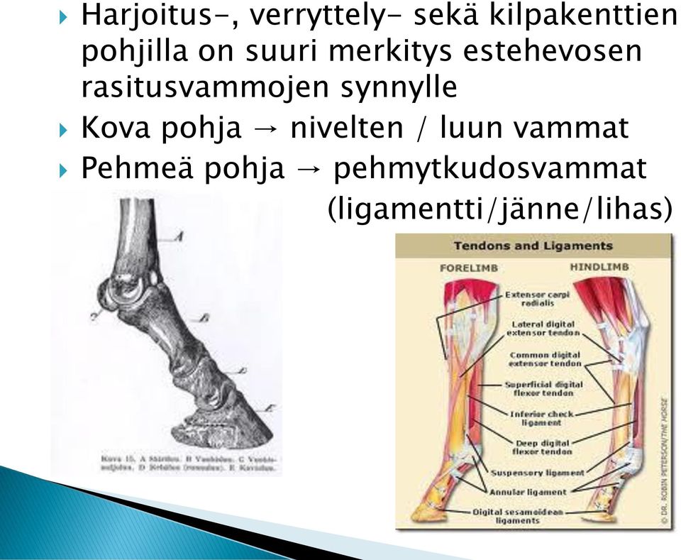 rasitusvammojen synnylle Kova pohja nivelten /