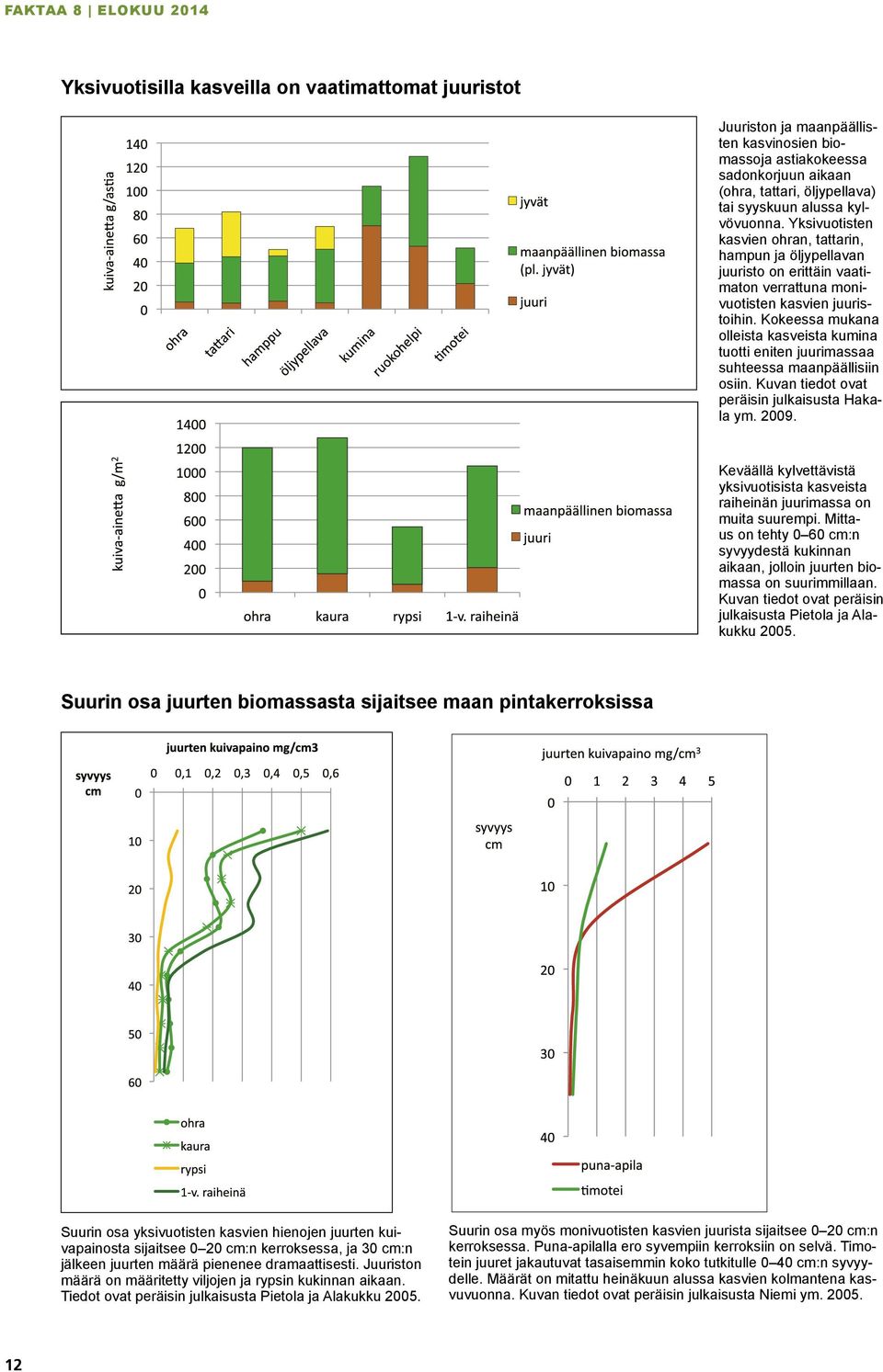 Kokeessa mukana olleista kasveista kumina tuotti eniten juurimassaa suhteessa maanpäällisiin osiin. Kuvan tiedot ovat peräisin julkaisusta Hakala ym. 2009.