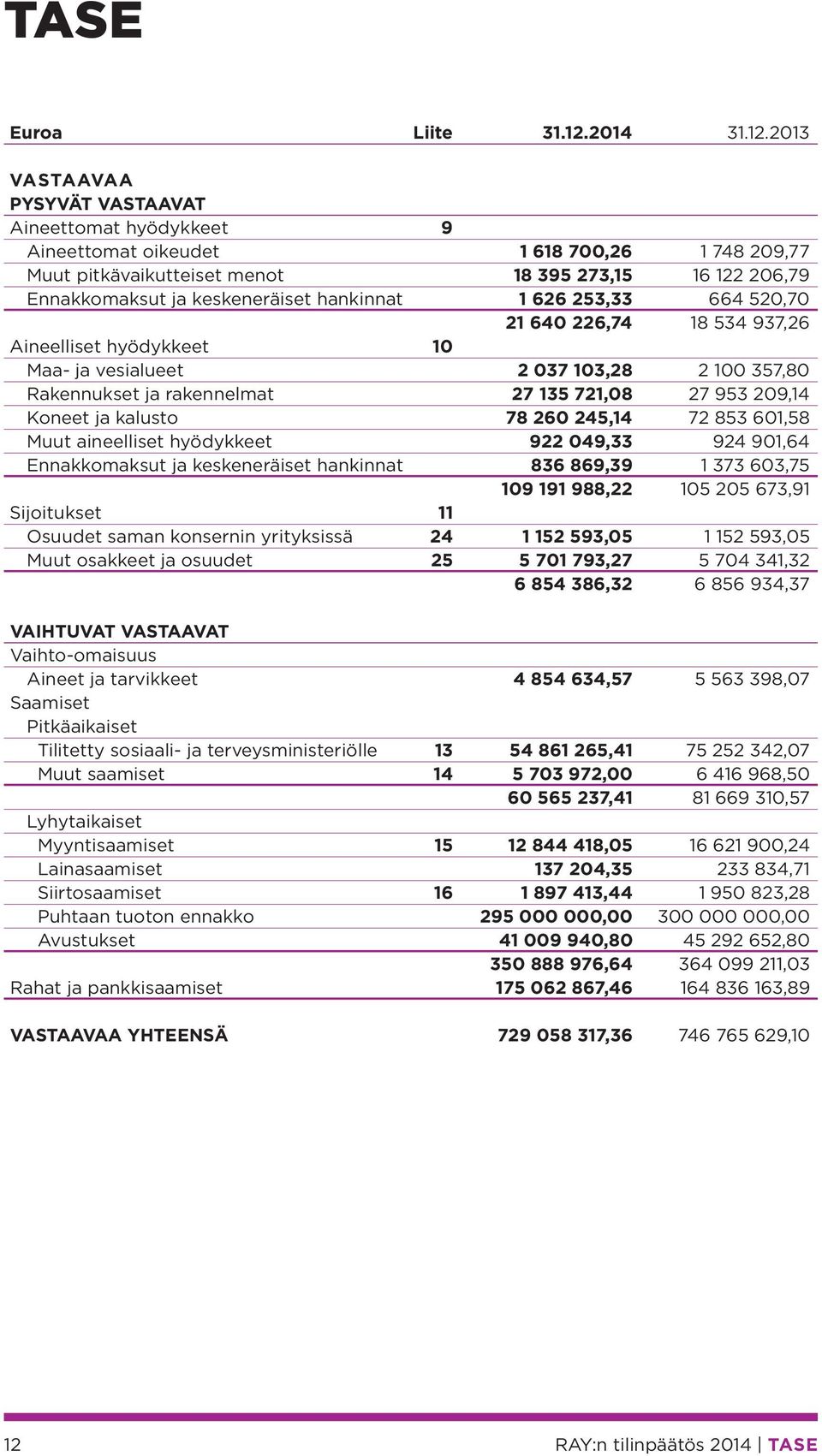 2013 VASTAAVAA PYSYVÄT VASTAAVAT Aineettomat hyödykkeet 9 Aineettomat oikeudet 1 618 700,26 1 748 209,77 Muut pitkävaikutteiset menot 18 395 273,15 16 122 206,79 Ennakkomaksut ja keskeneräiset