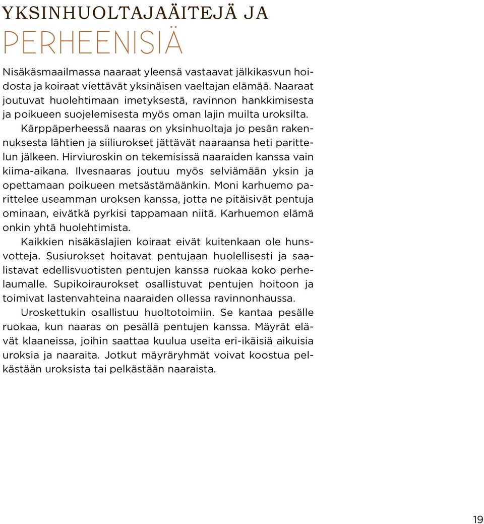 Kärppäperheessä naaras on yksinhuoltaja jo pesän rakennuksesta lähtien ja siiliurokset jättävät naaraansa heti parittelun jälkeen. Hirviuroskin on tekemisissä naaraiden kanssa vain kiima-aikana.