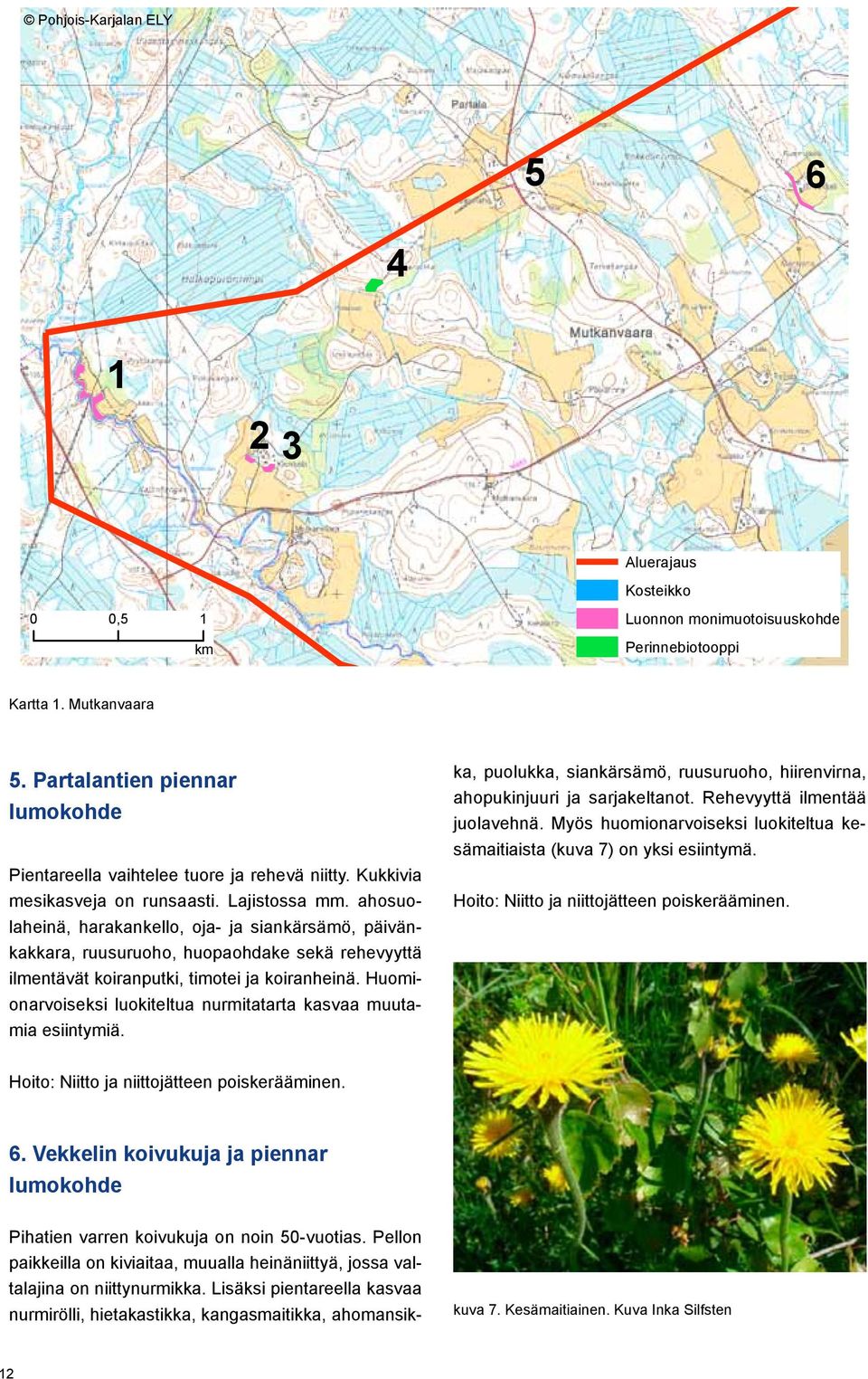 ahosuolaheinä, harakankello, oja- ja siankärsämö, päivänkakkara, ruusuruoho, huopaohdake sekä rehevyyttä ilmentävät koiranputki, timotei ja koiranheinä.