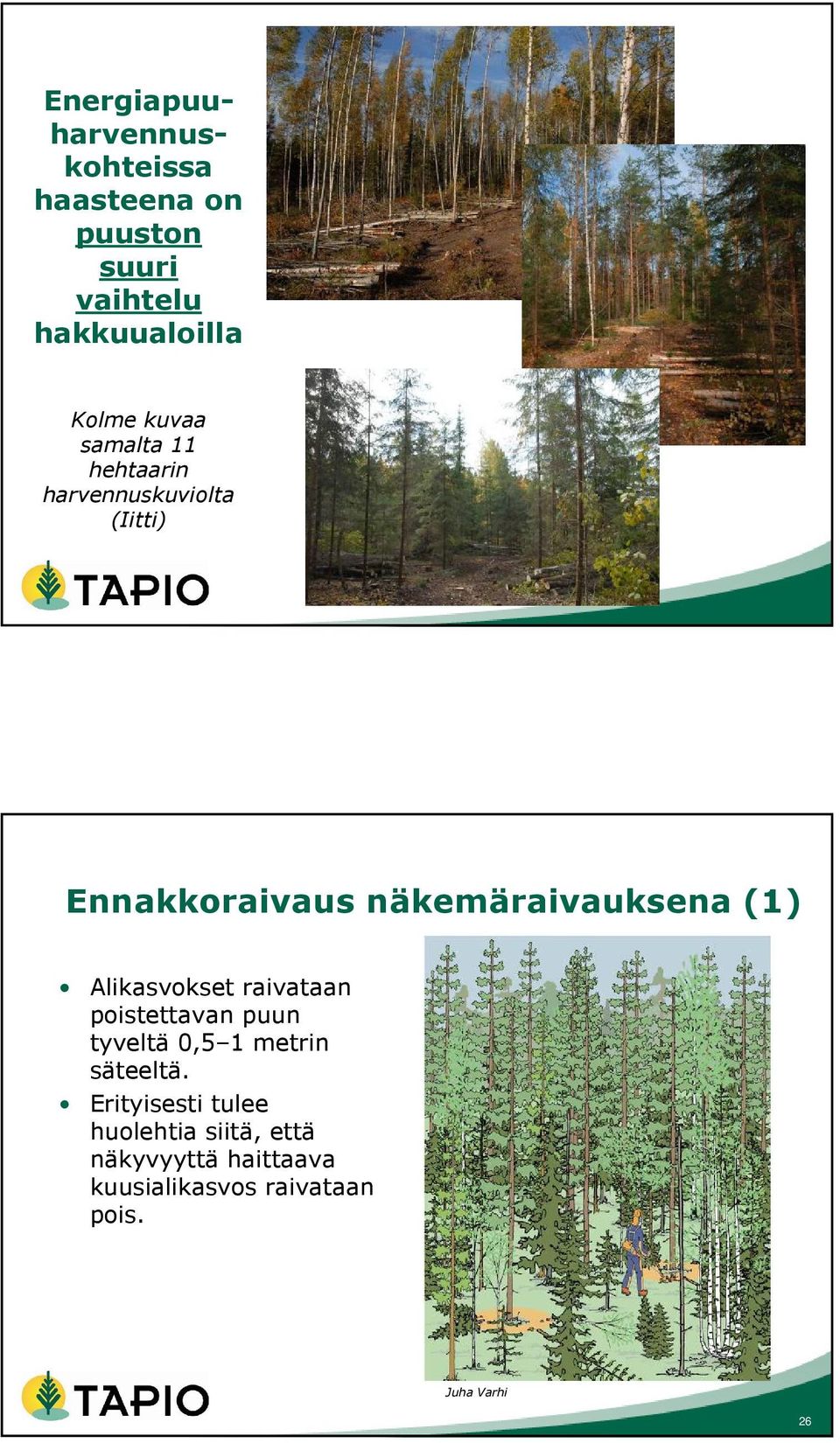 (1) Alikasvokset raivataan poistettavan puun tyveltä 0,5 1 metrin säteeltä.