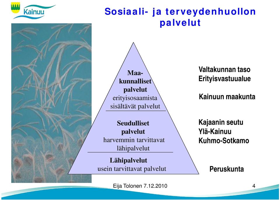 Lähipalvelut usein tarvittavat palvelut Valtakunnan taso Erityisvastuualue