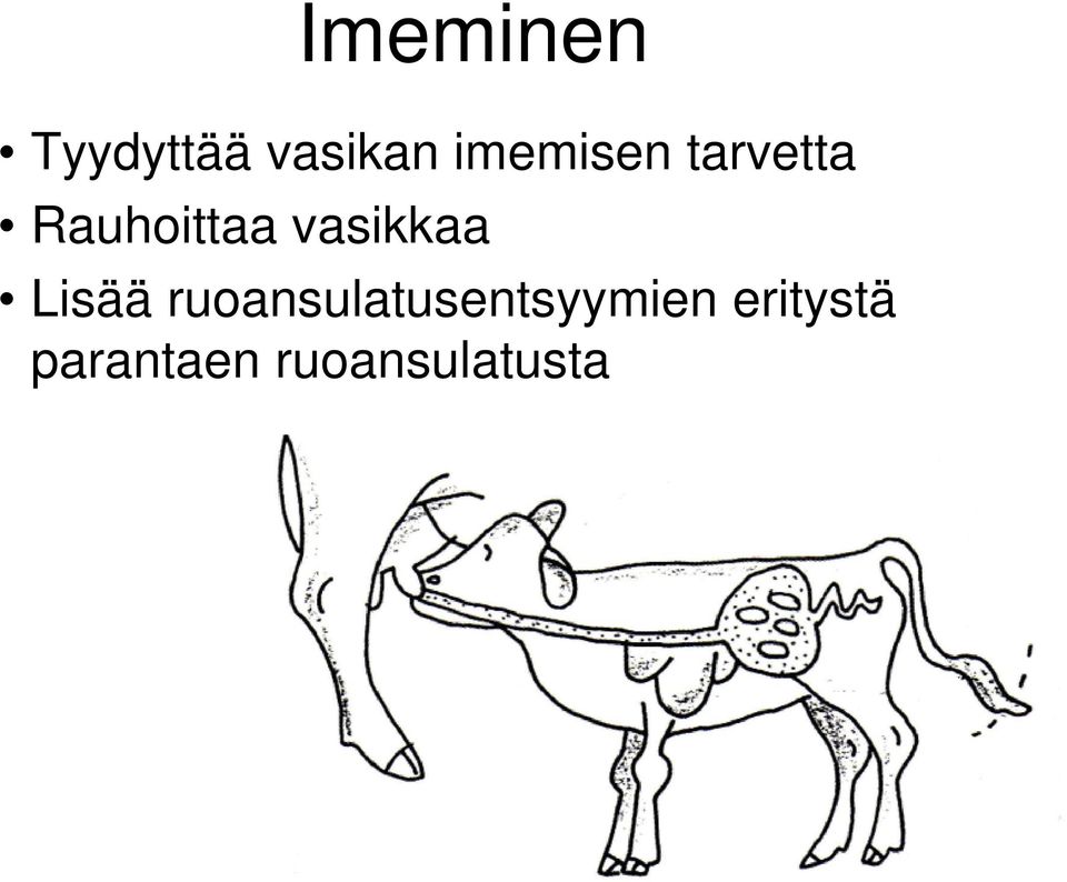 vasikkaa Lisää