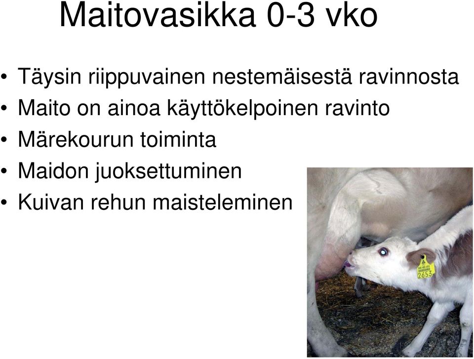 käyttökelpoinen ravinto Märekourun toiminta