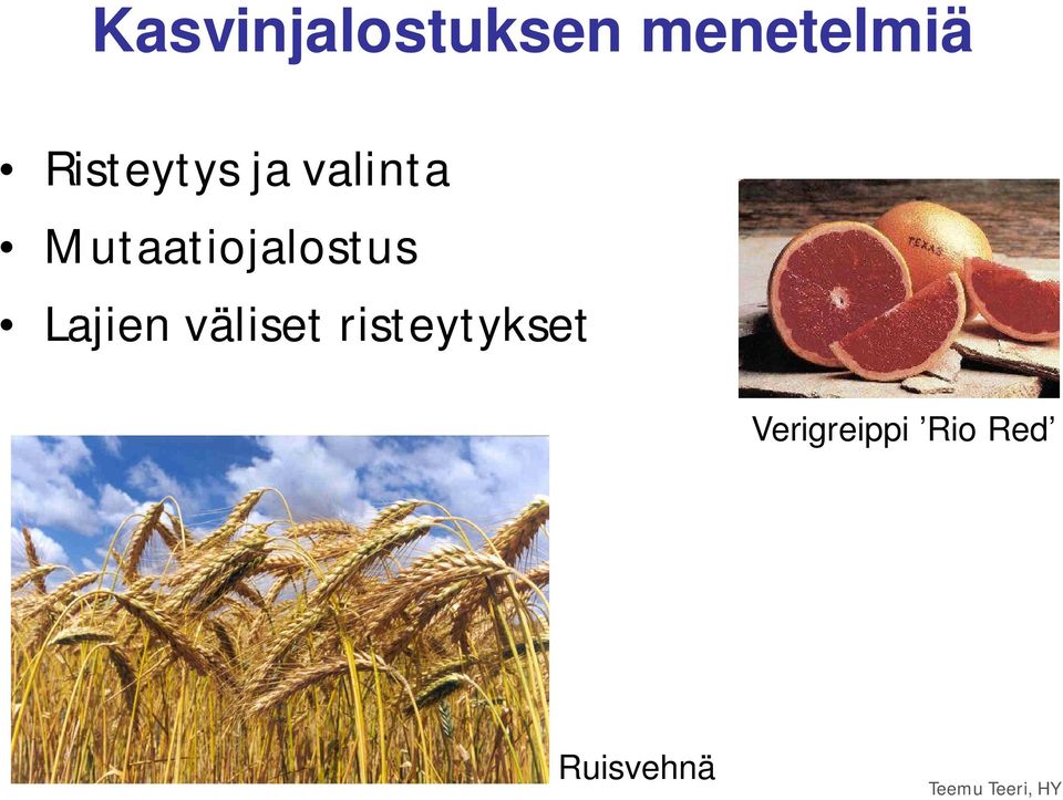 Mutaatiojalostus Lajien väliset