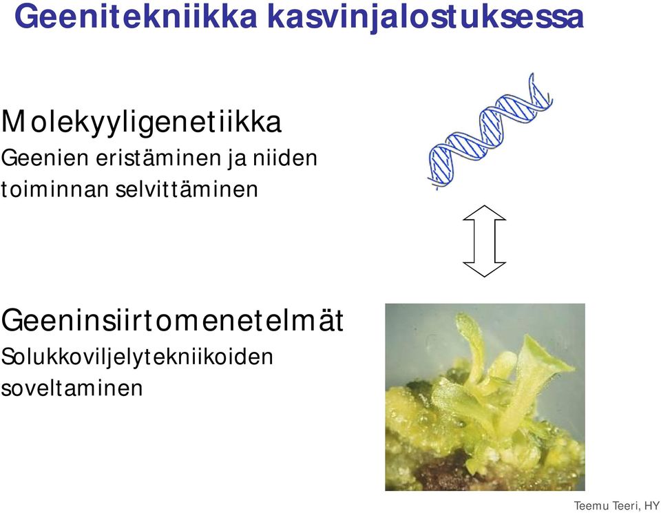 niiden toiminnan selvittäminen