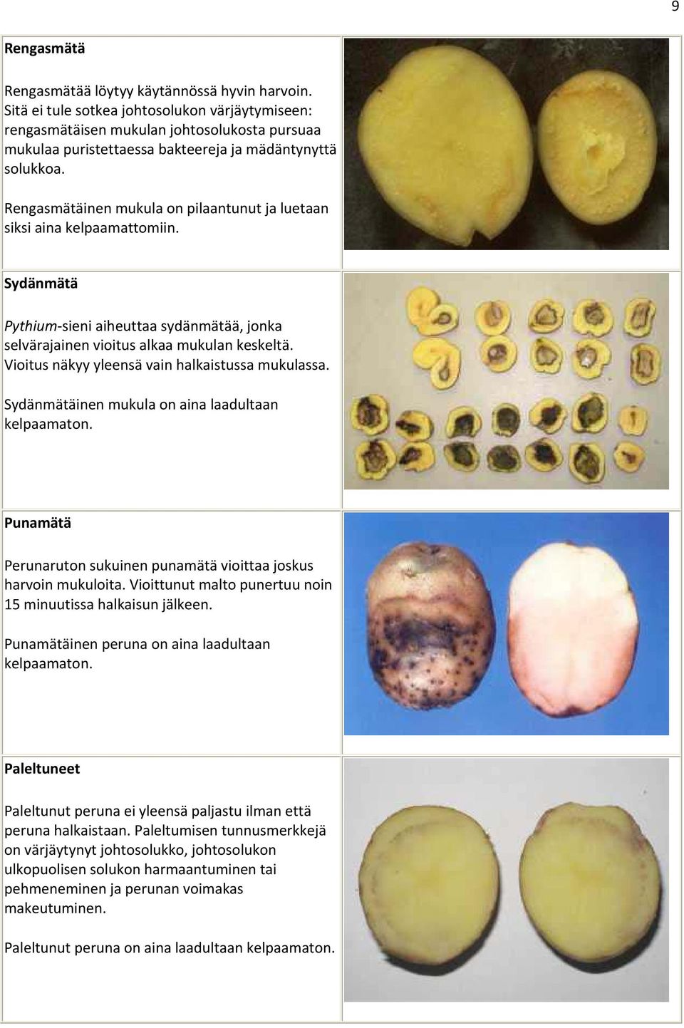 Rengasmätäinen mukula on pilaantunut ja luetaan siksi aina kelpaamattomiin. Sydänmätä Pythium sieni aiheuttaa sydänmätää, jonka selvärajainen vioitus alkaa mukulan keskeltä.