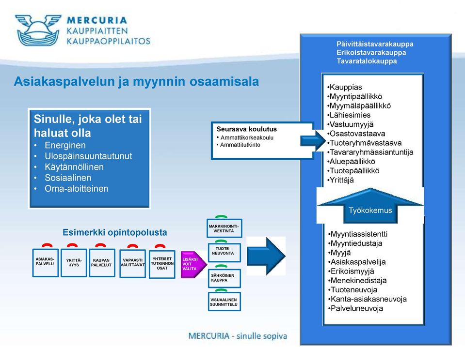 Aluepäällikkö Tuotepäällikkö Yrittäjä Työkokemus ASIAKAS- PALVELU Esimerkki opintopolusta YRITTÄ- JYYS KAUPAN PALVELUT VAPAASTI VALITTAVAT YHTEISET TUTKINNON OSAT LISÄKSI VOIT VALITA