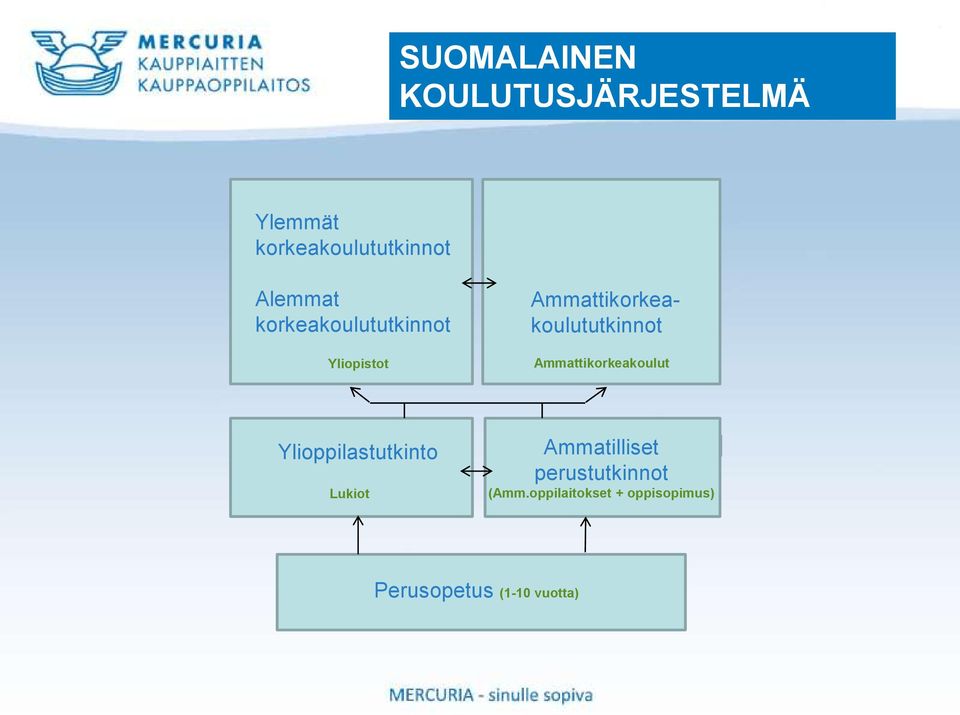 Ammattikorkeakoulututkinnot Ammattikorkeakoulut