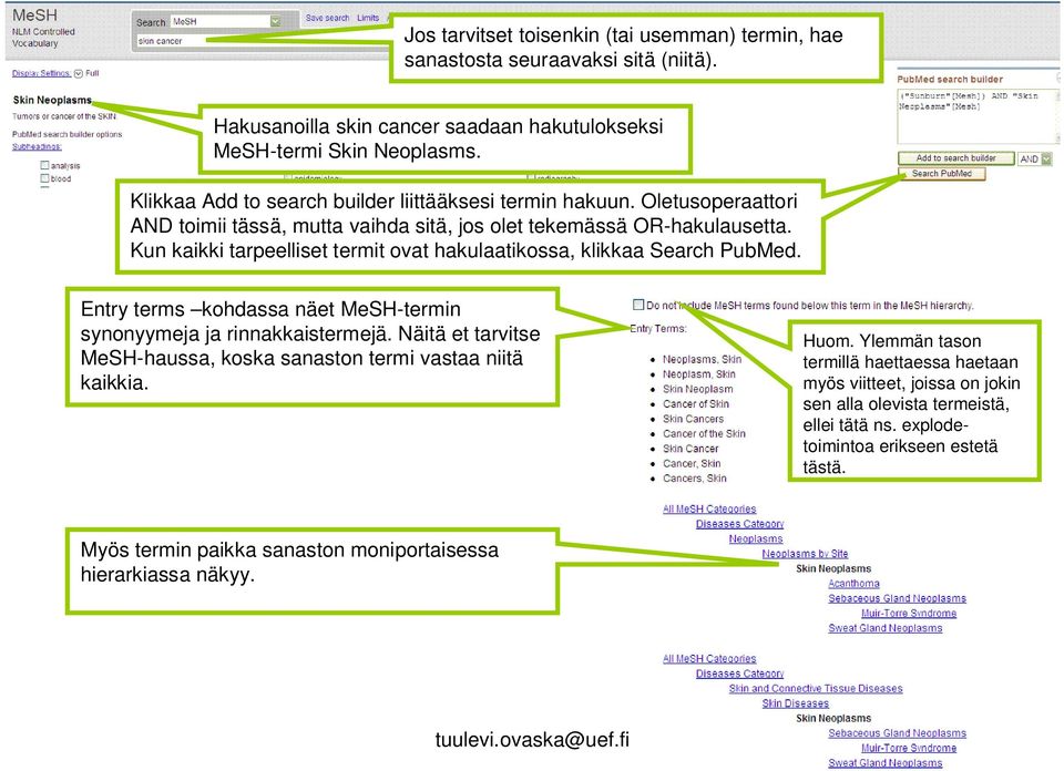 Kun kaikki tarpeelliset termit ovat hakulaatikossa, klikkaa Search PubMed. Entry terms kohdassa näet MeSH-termin synonyymeja ja rinnakkaistermejä.