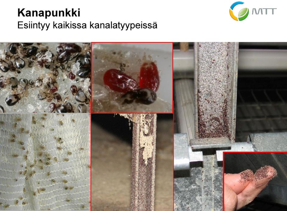 kanalatyypeissä MTT