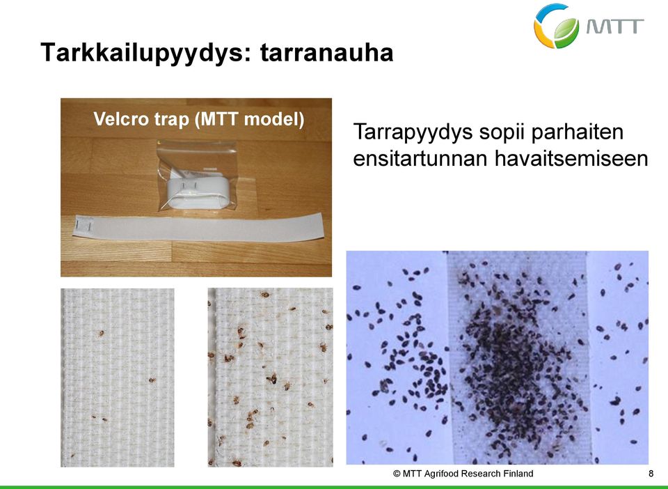 parhaiten ensitartunnan