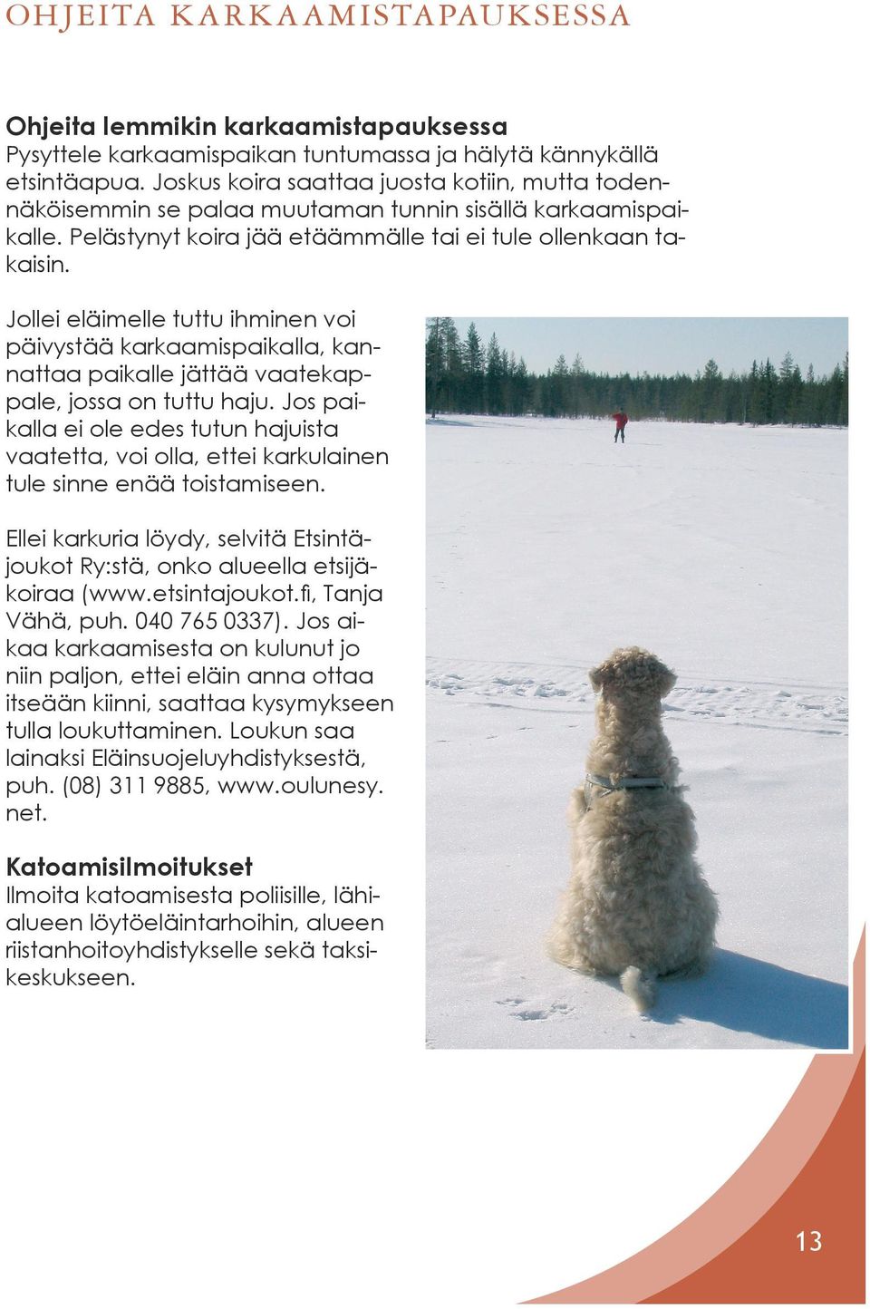 Jollei eläimelle tuttu ihminen voi päivystää karkaamispaikalla, kannattaa paikalle jättää vaatekappale, jossa on tuttu haju.