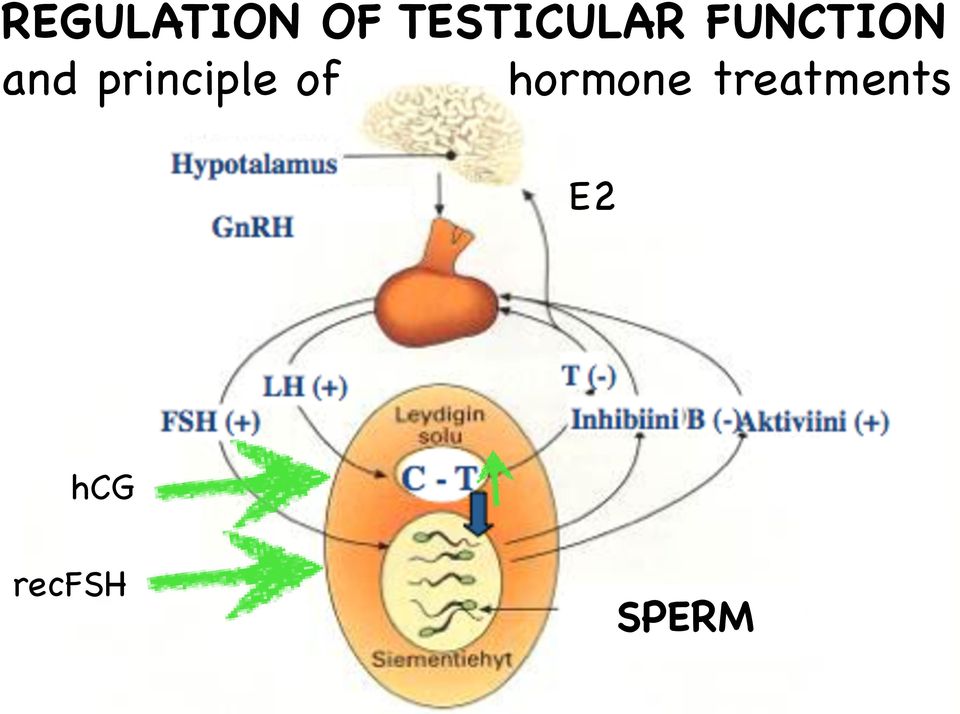 principle of hormone treatments