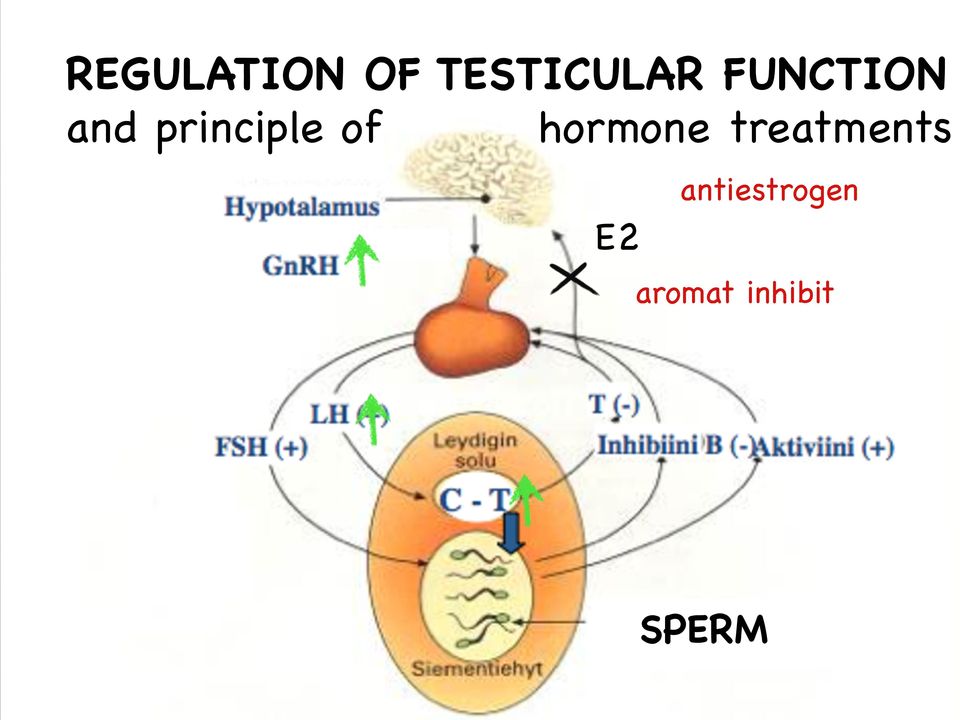 principle of hormone treatments taso