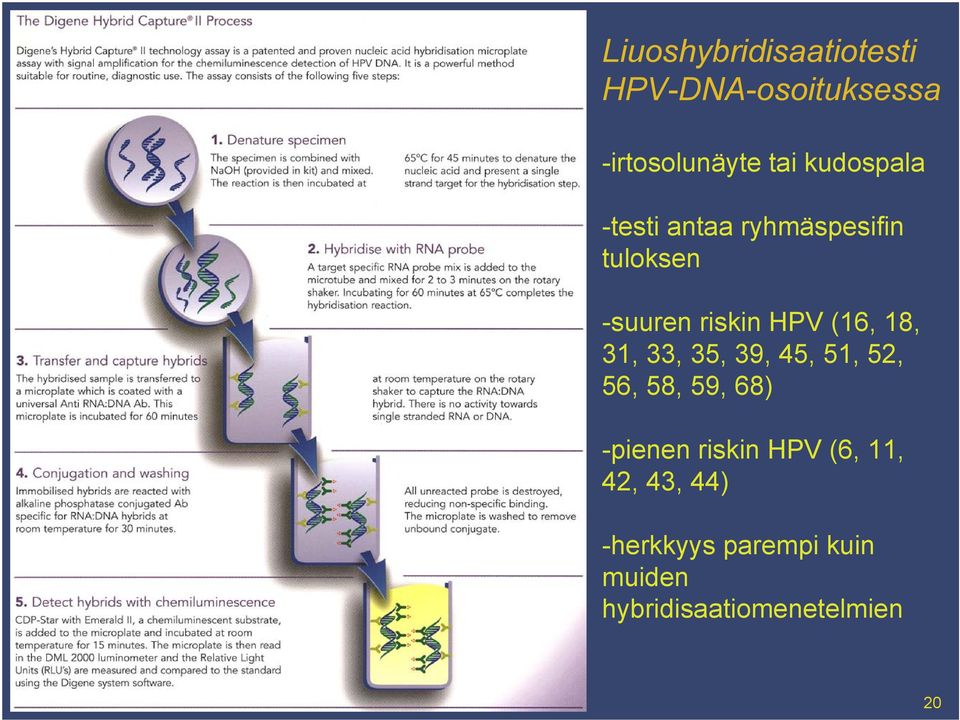 35, 39, 45, 51, 52, 56, 58, 59, 68) -pienen riskin HPV (6, 11, 42, 43, 44)