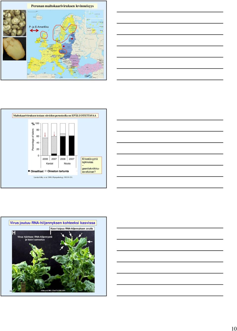 geenitekniikkasovellukset? Latvala-Kilby et al. 2009, Phytopathology 99:519-531.