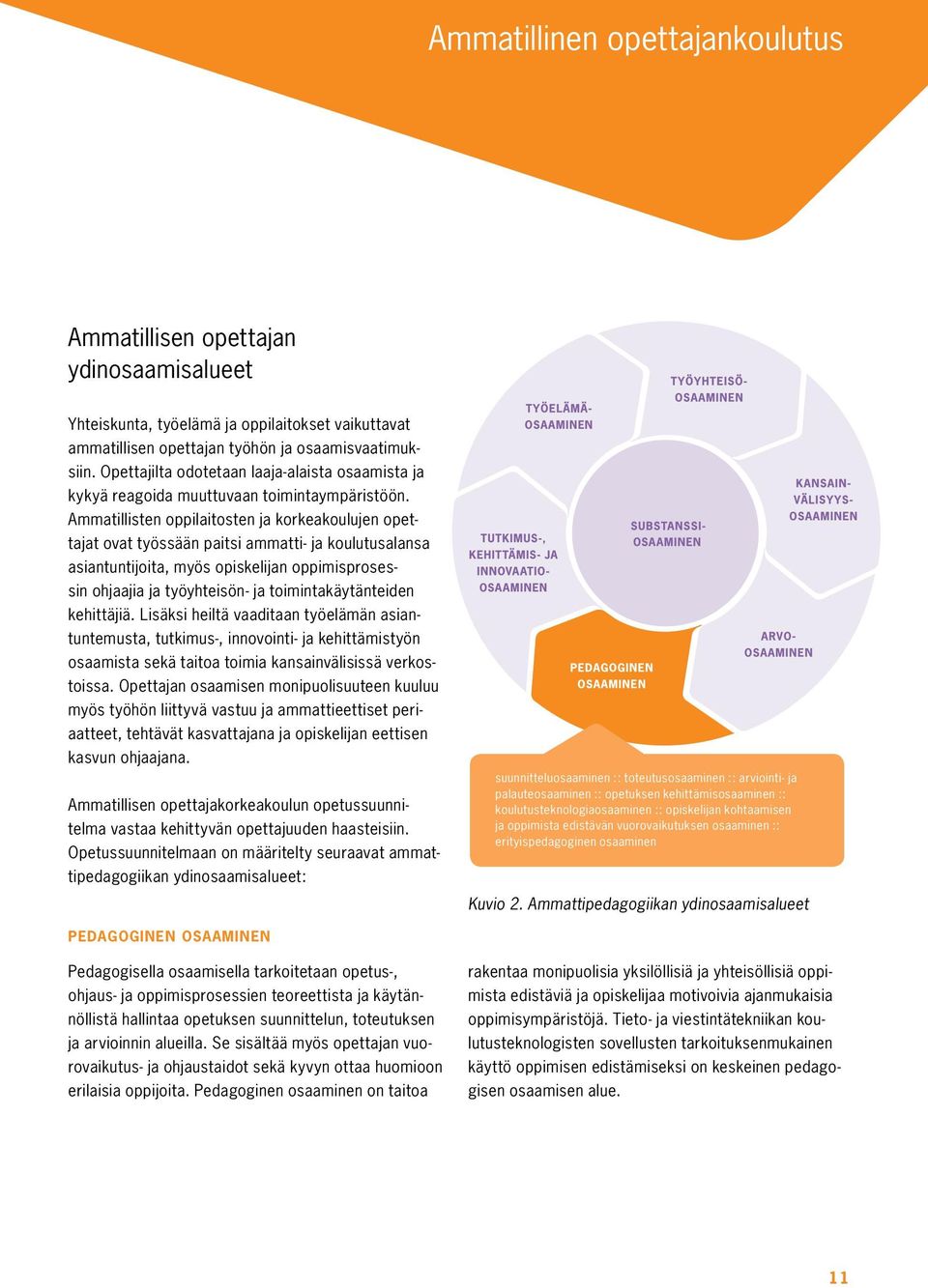 Ammatillisten oppilaitosten ja korkeakoulujen opettajat ovat työssään paitsi ammatti- ja koulutusalansa asiantuntijoita, myös opiskelijan oppimisprosessin ohjaajia ja työyhteisön- ja