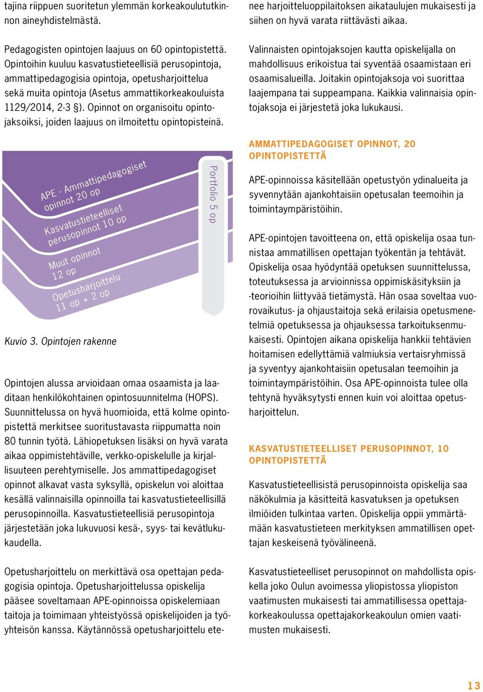 Opintoihin kuuluu kasvatustieteellisiä perusopintoja, ammattipedagogisia opintoja, opetusharjoittelua sekä muita opintoja (Asetus ammattikorkeakouluista 1129/2014, 2-3 ).