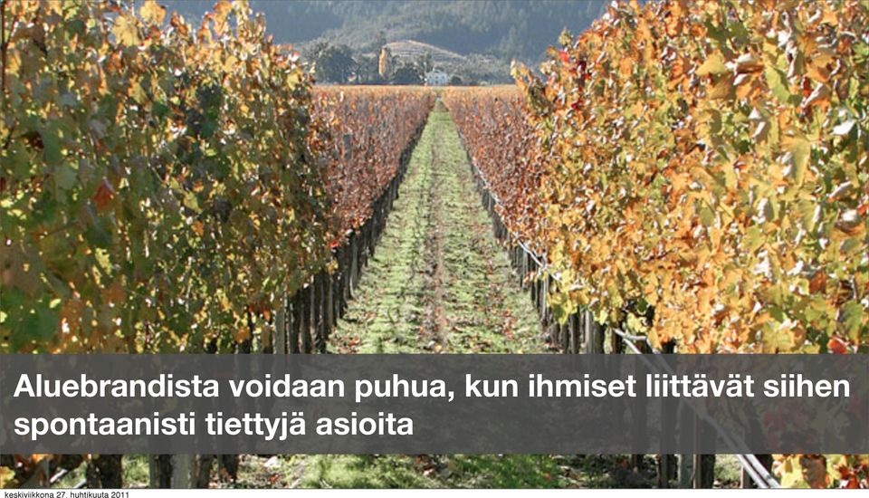liittävät siihen